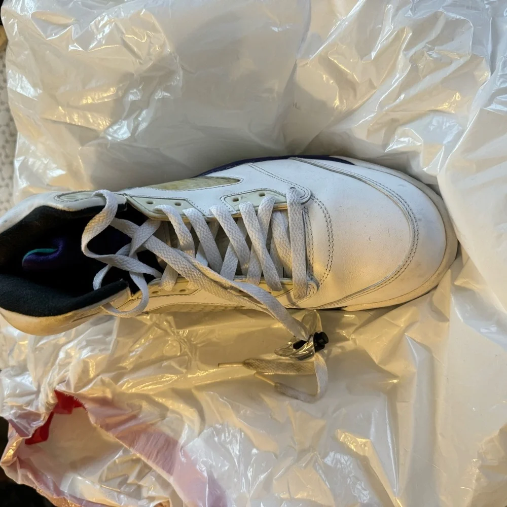 USED LEFT SHOE ONLY!!!!!!!!!! JORDAN 5 GRAPE - Picture 5 of 6
